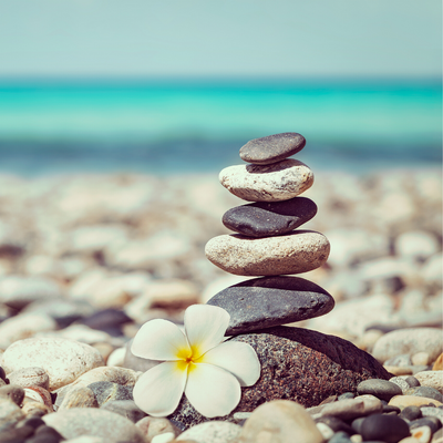 Protein VS Moisture: Creating the Perfect Balance